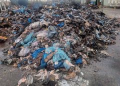 Τρεις συλλήψεις για ρύπανση από ενταφιασμό ζωικών αποβλήτων στην Ήπειρο