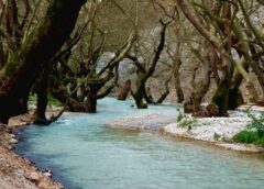 Επιστημονικές διαπιστώσεις και προτάσεις για την κατάσταση των ποτάμιων συστημάτων Λούρου και Αράχθου